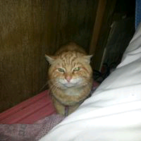 西牧裕次