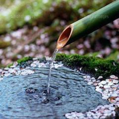 きーちょろの部屋(新)