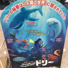 ドラ番セーラーのトーク