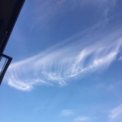 水湊総助