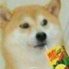 ultra-⑨℃のトーク