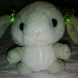 小林 絵里のトーク