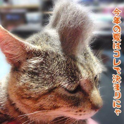 お萩はきな粉派