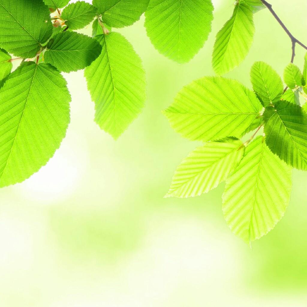 りんごといちご