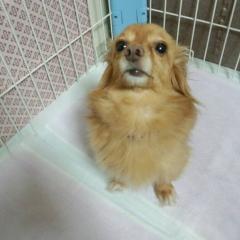 ビシッ