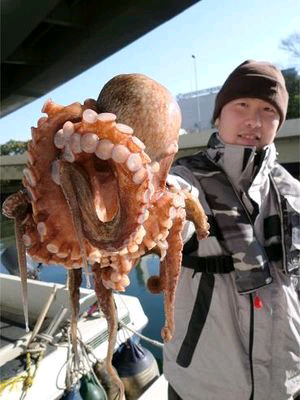 ちわちわのトーク