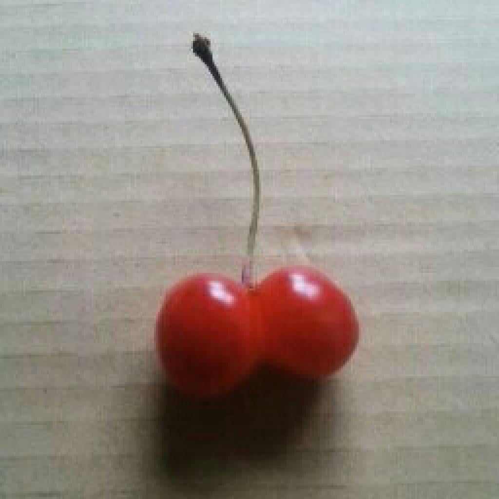 とおる@さくらんぼ