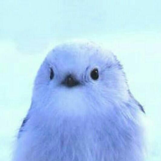 障がい者グループ