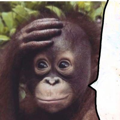 落武者ホナウド⊿
