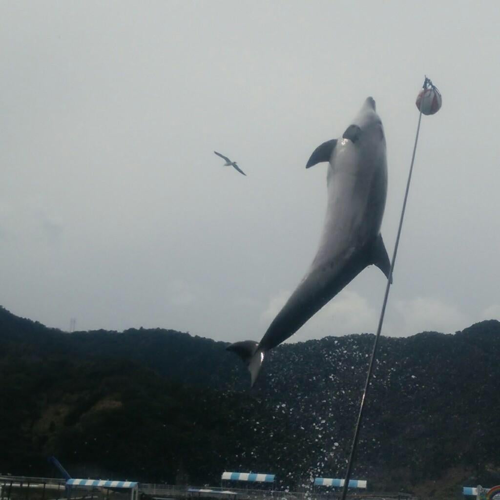 みんなの部屋🍀