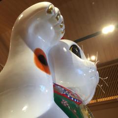 ヨシヒ@99%有紀奈推し