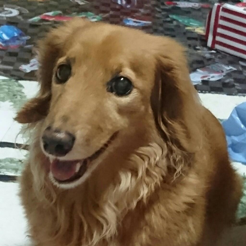 さーち(Jonnes-jr  fan) リトーク専用