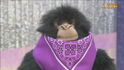 トルティーヤ君のトーク