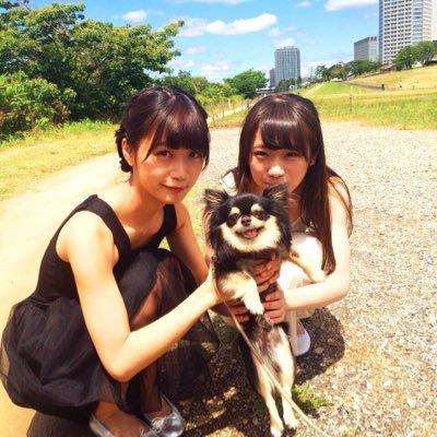 たく⊿