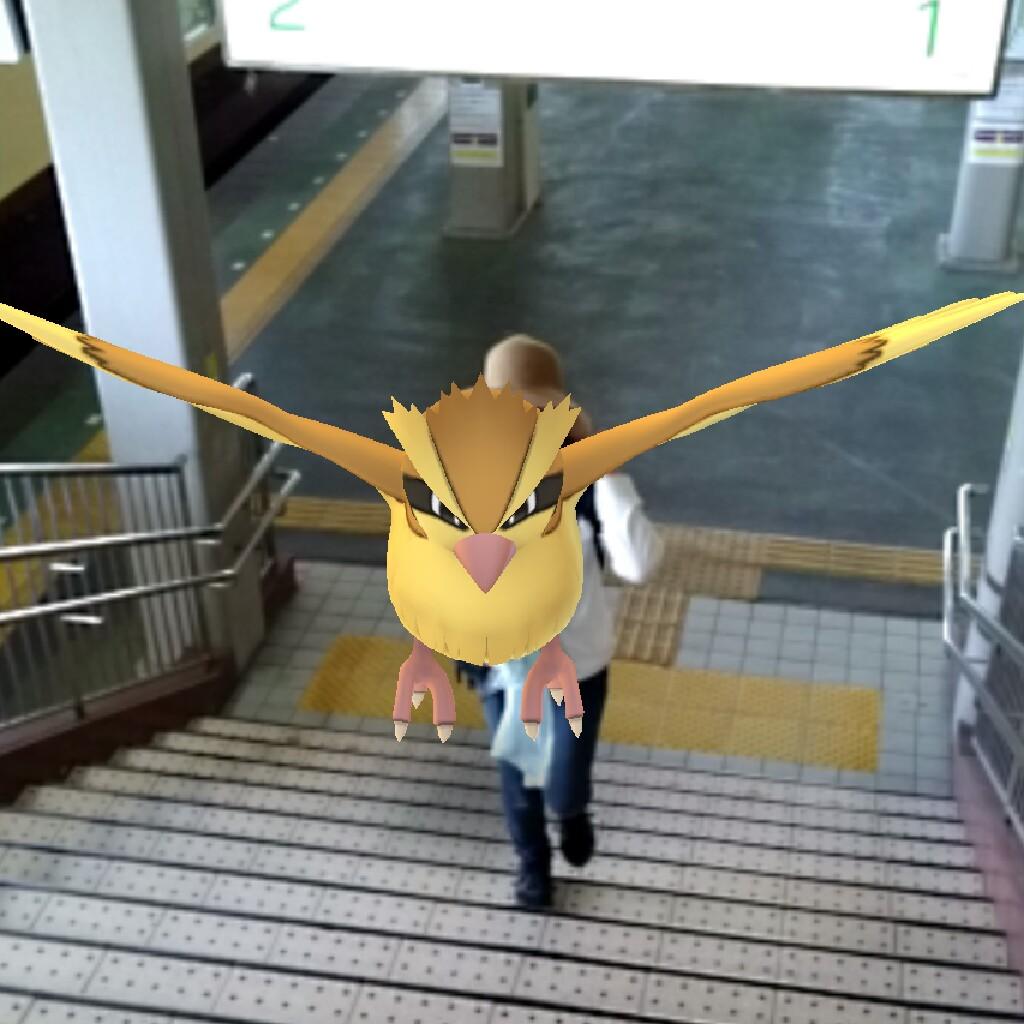 ポケモンgo‼