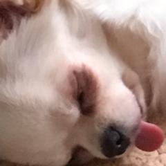 みきティー私やじコメ禁止