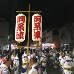 阿波踊り報告/阿呆連