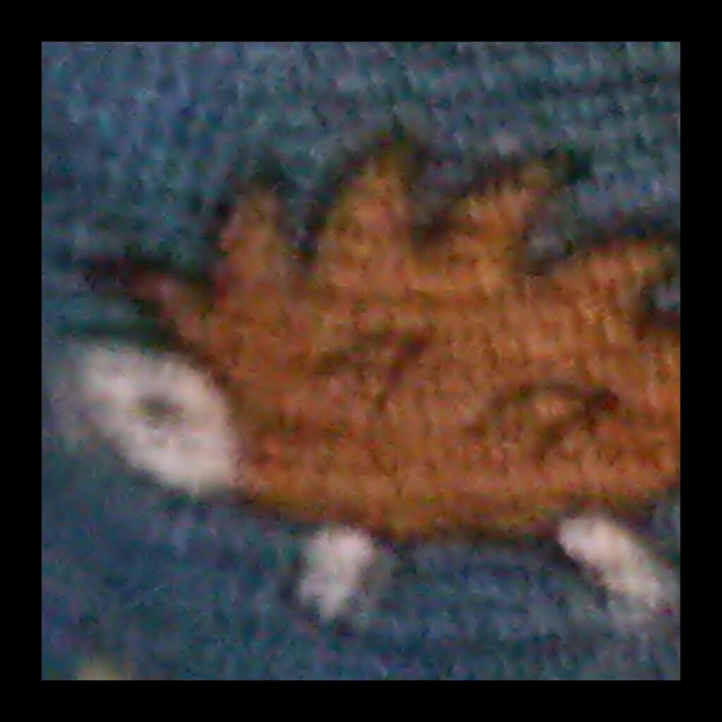 柿沼