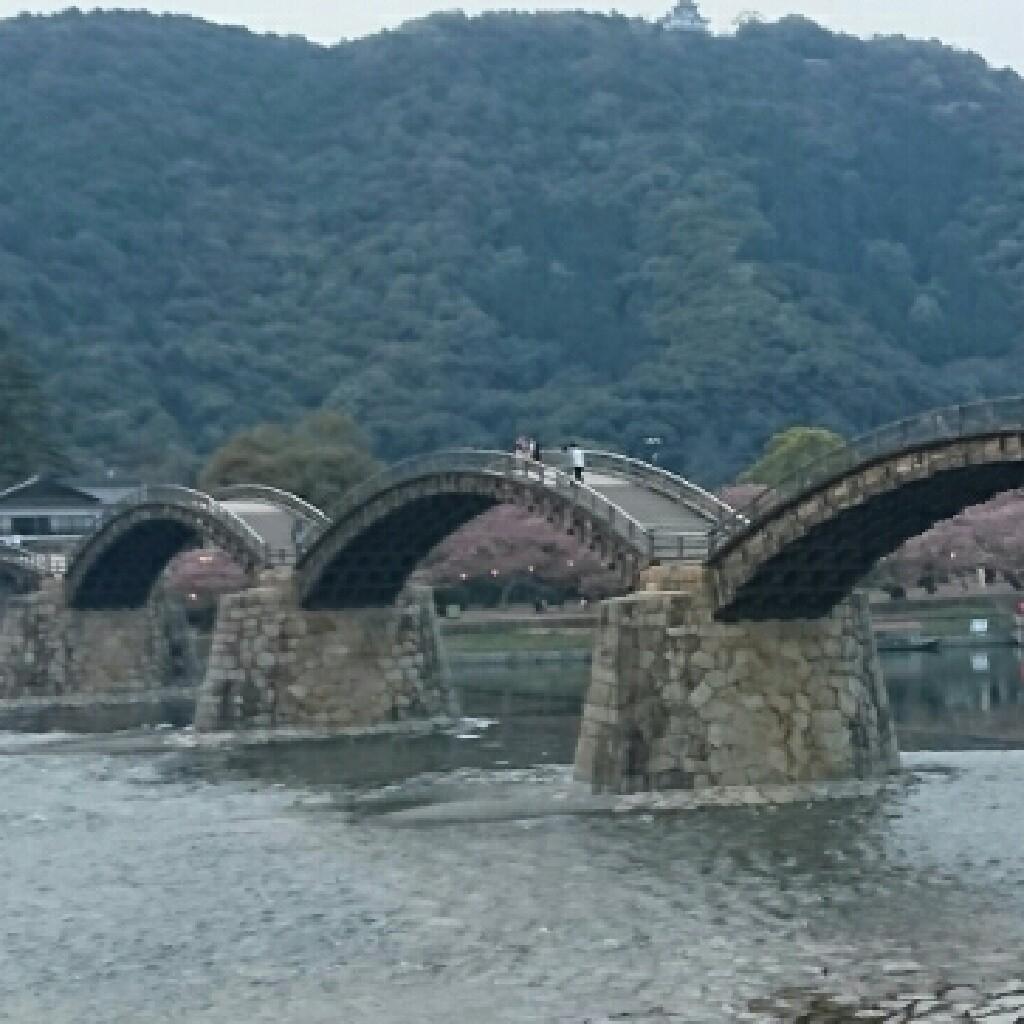 まゆごん