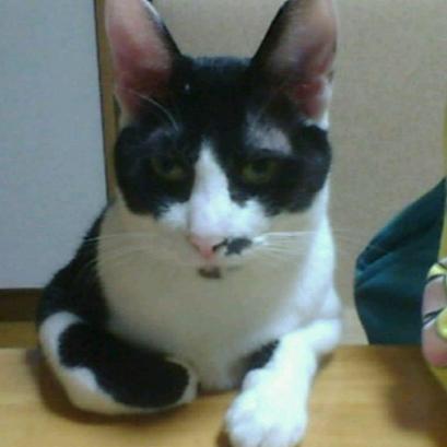 潤のトーク