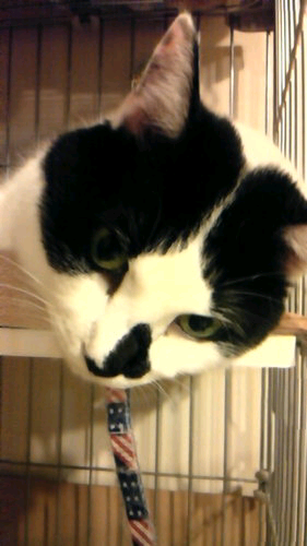 toro-mimiのトーク