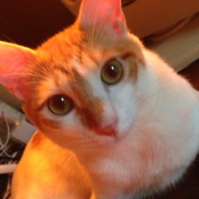 もときのトーク