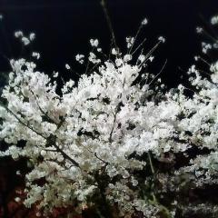 ま~み