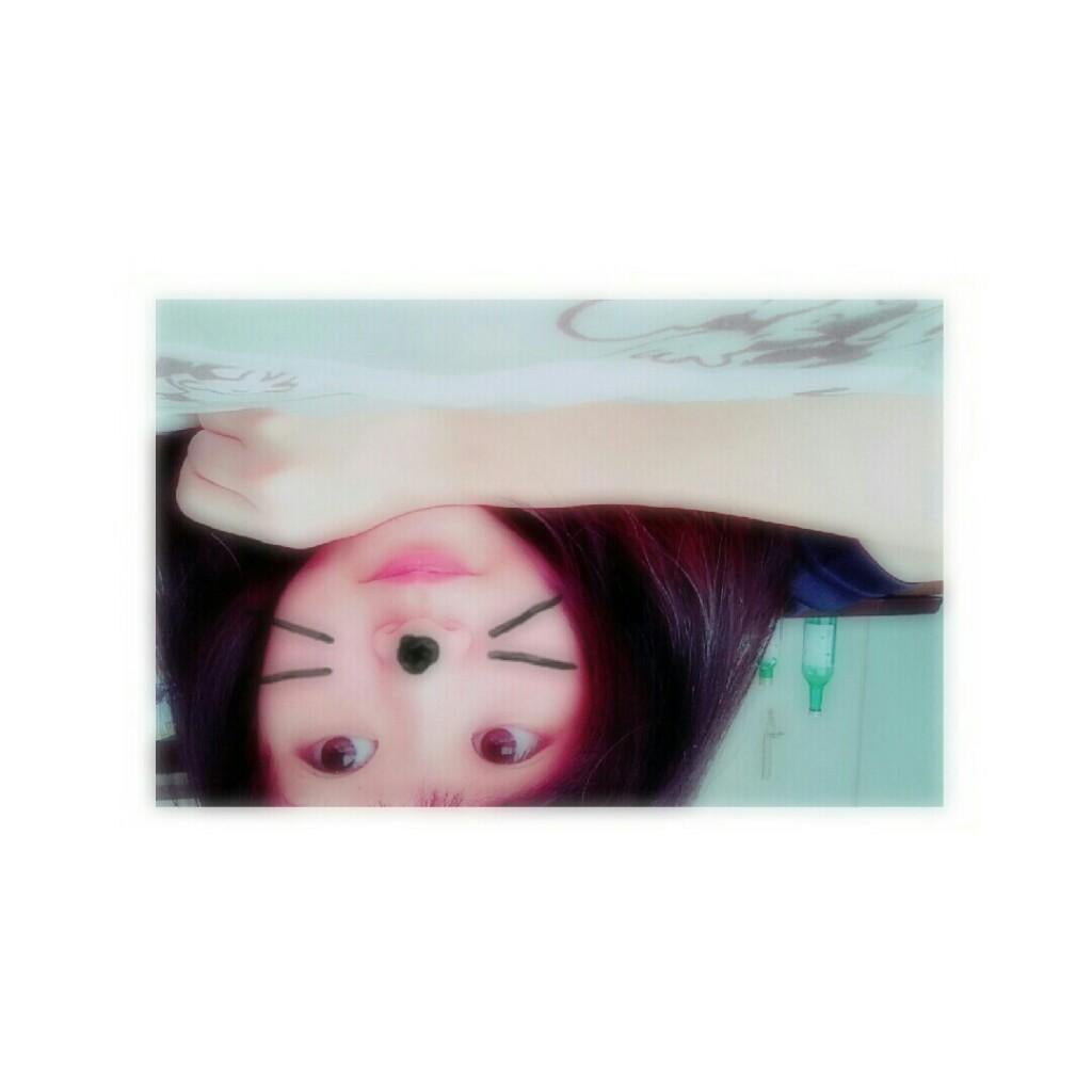 もこもこ
