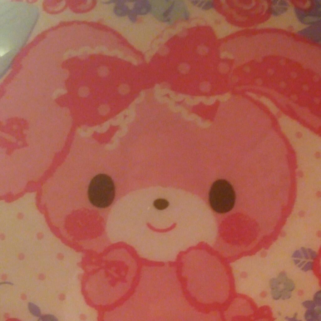 こっこ