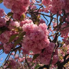 ブリュレと優花のトーク  ヤジコメなし❌