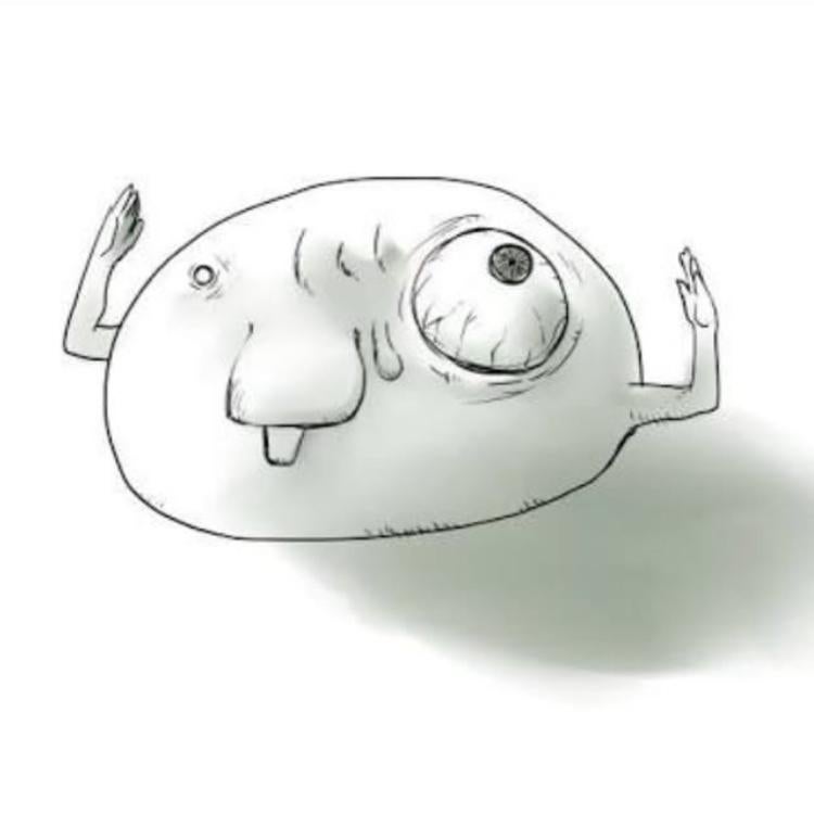 ☠︎横山奏＋└(՞ةڼ◔)」＝キチガイ