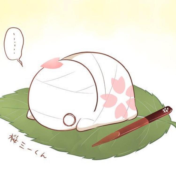 小野寺まゆかのトーク