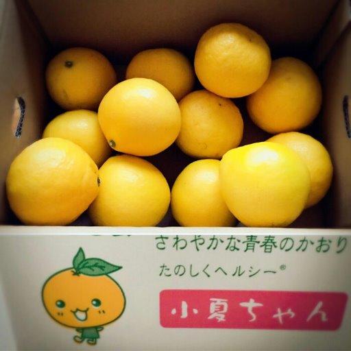 秘密基地やからバラしたらアカンで!٩(ˊᗜˋ*)و ♪