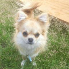 ❤リズム❤のトーク