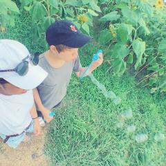 ぬくぬくぺろりんちょ