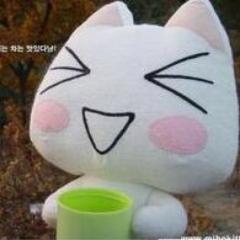 ハルジオンが咲く頃🌸💮