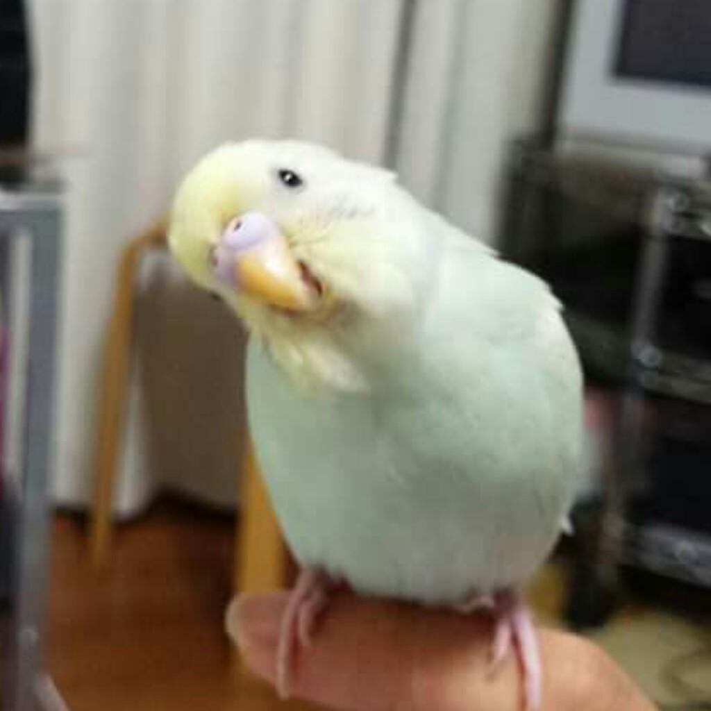 ☺かずきち☺