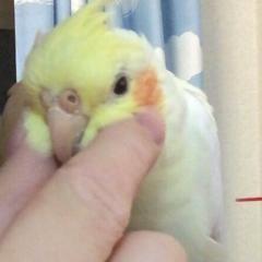 yur