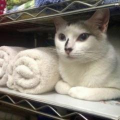 暇〜誰か話そ！