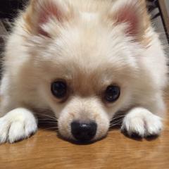 ゆー@橋本建設⊿