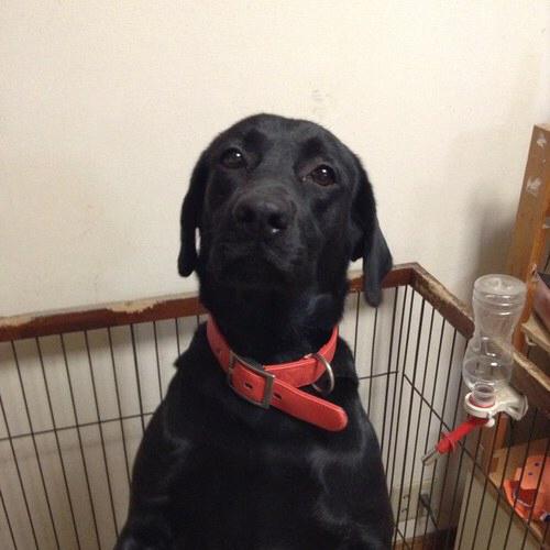 まおちせパパ@紫族神推同盟 ロケハン三重