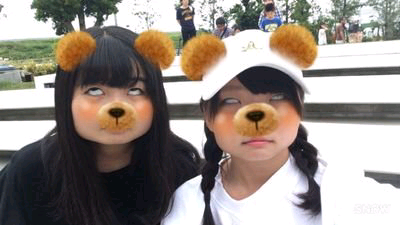 引用✨✨