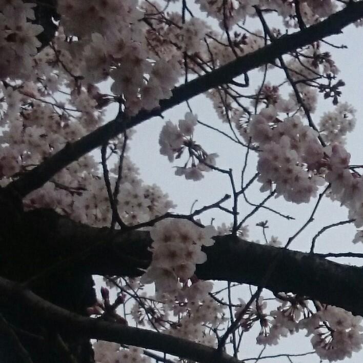 たくや