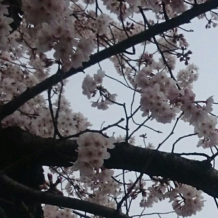 たくやのトーク