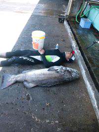 こが つとむのトーク