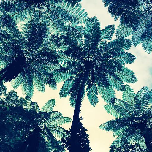 ReTalk and Discussion