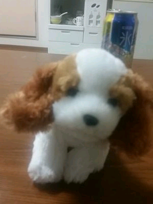 かっちん