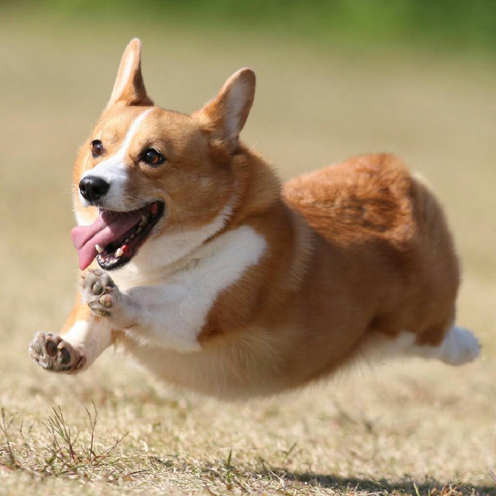 高校生集まれ！！！！！