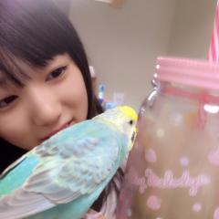 いなっちのトーク