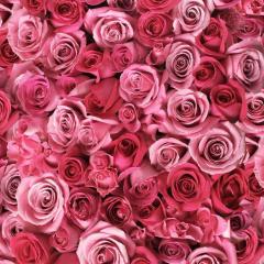 ミカサのトーク